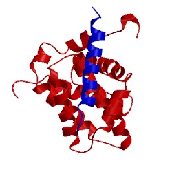 Image of CATH 2jm6