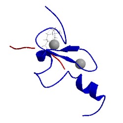 Image of CATH 2jmj
