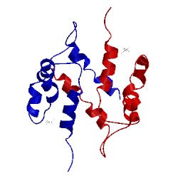 Image of CATH 2jpt