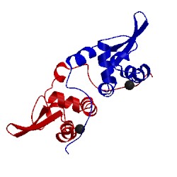 Image of CATH 2jsc