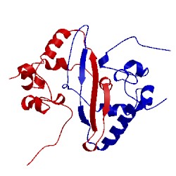 Image of CATH 2jw8