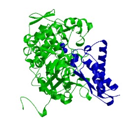 Image of CATH 2kau