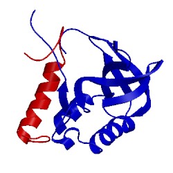 Image of CATH 2khs