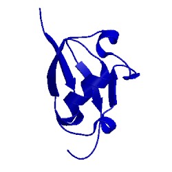 Image of CATH 2klc