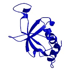 Image of CATH 2kvr