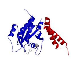 Image of CATH 2kwi