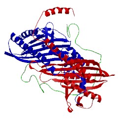 Image of CATH 2kz7