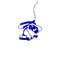Image of CATH 2l05