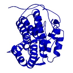 Image of CATH 2l7b