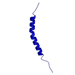 Image of CATH 2l91