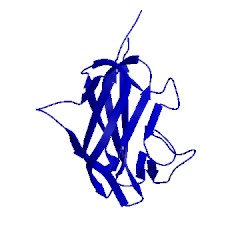 Image of CATH 2l9l