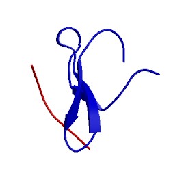 Image of CATH 2law