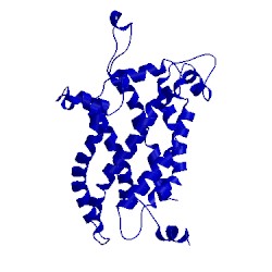 Image of CATH 2lck