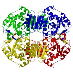 Image of CATH 2ldx