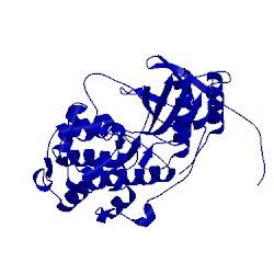 Image of CATH 2lgc