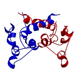 Image of CATH 2lhl