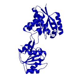 Image of CATH 2liv