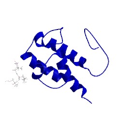 Image of CATH 2liw