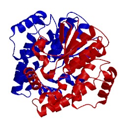 Image of CATH 2ljr