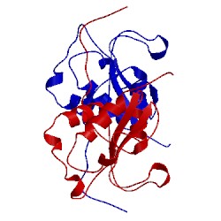 Image of CATH 2lns