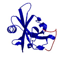 Image of CATH 2loz
