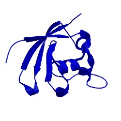 Image of CATH 2lq7