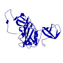 Image of CATH 2lqw