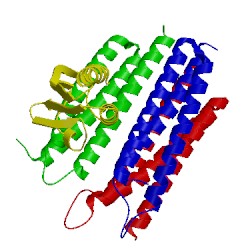 Image of CATH 2lrl