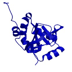 Image of CATH 2lrn