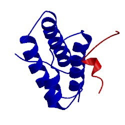 Image of CATH 2lsk