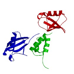 Image of CATH 2lvp