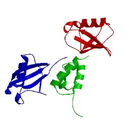 Image of CATH 2lvp