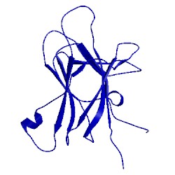 Image of CATH 2lw8