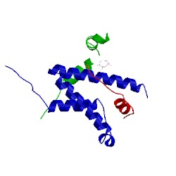 Image of CATH 2lxt