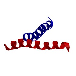Image of CATH 2lz4