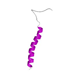 Image of CATH 2lzlA