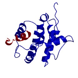 Image of CATH 2m04