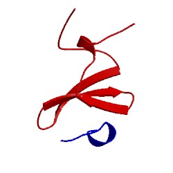 Image of CATH 2m3o