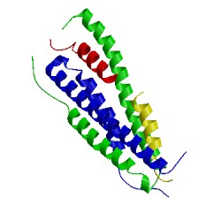 Image of CATH 2mak