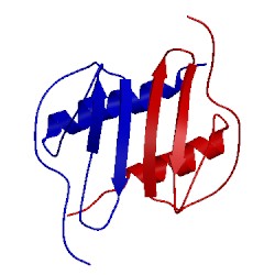 Image of CATH 2mgs