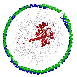 Image of CATH 2msc