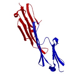 Image of CATH 2n0k