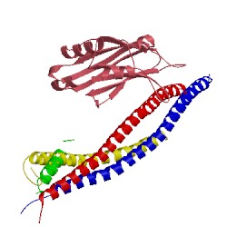 Image of CATH 2n1t