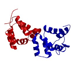 Image of CATH 2n97