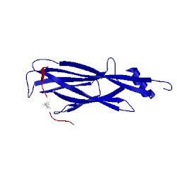 Image of CATH 2ndg