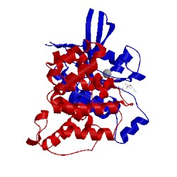 Image of CATH 2ngr