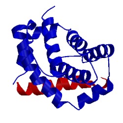 Image of CATH 2nla