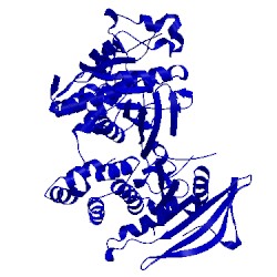Image of CATH 2nlk