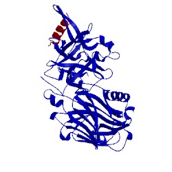 Image of CATH 2nm1