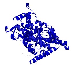 Image of CATH 2nni
